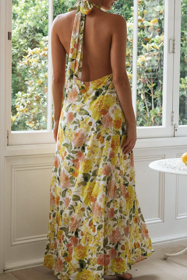CM | Fashion Vestido largo con escote halterneck y espalda descubierta